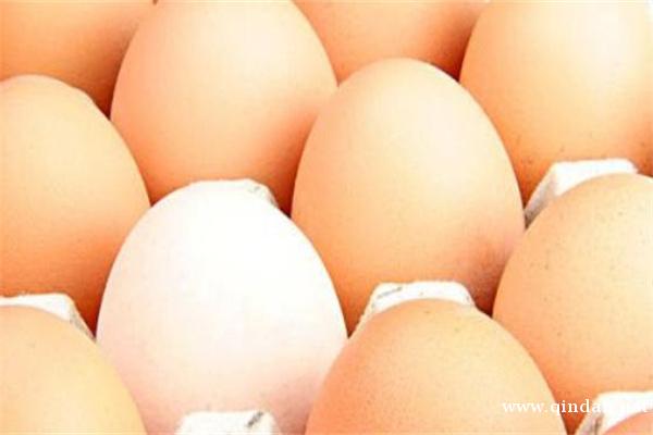 2025年12月5日全国鸡蛋（粉蛋）价格表