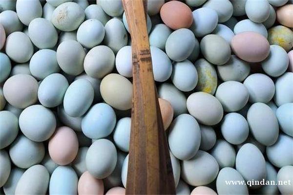 2025年11月份全国鸡蛋价格