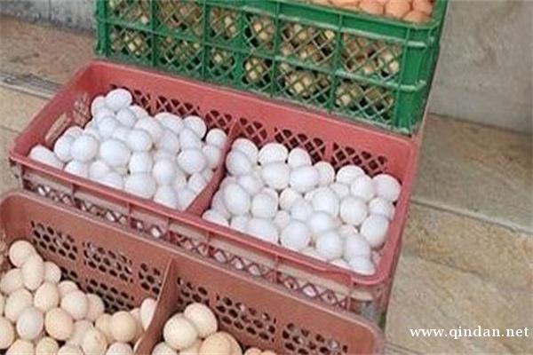 秋季鸡蛋价格多少钱一斤？鸡蛋煮多久最好？
