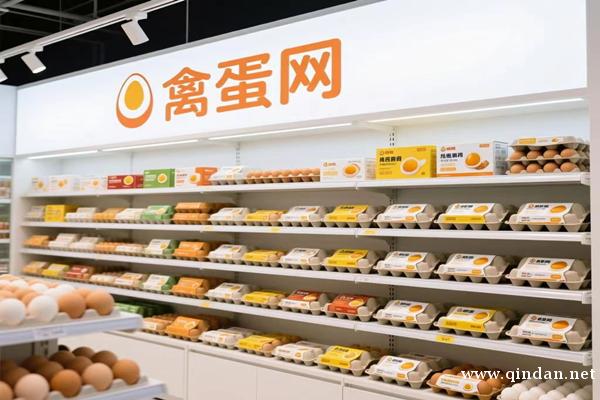 河北辛集鸡蛋今日最新报价