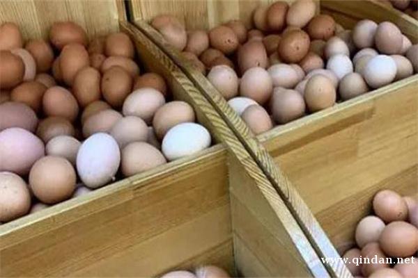 2025年12月3日鸡蛋全国价格行情分析