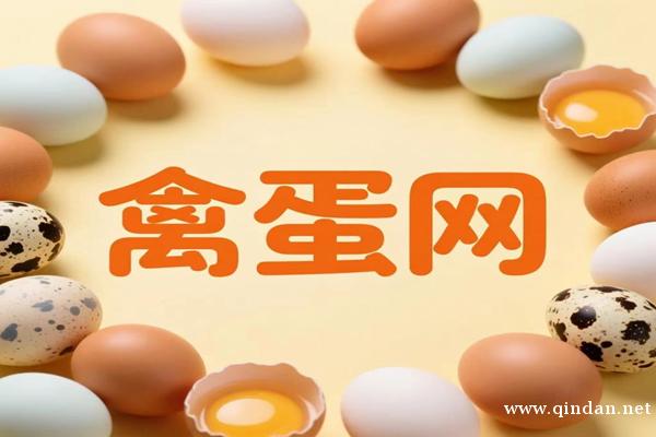 全国鸡蛋价格天天报价