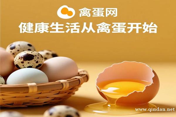 鸡蛋批发价格表今日价格