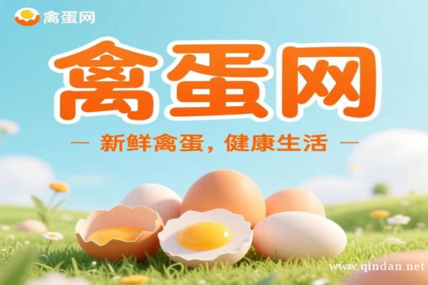 鸡蛋今日一斤多少钱？