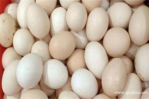 2025-12-06 鲜鸡蛋批发市场价格行情