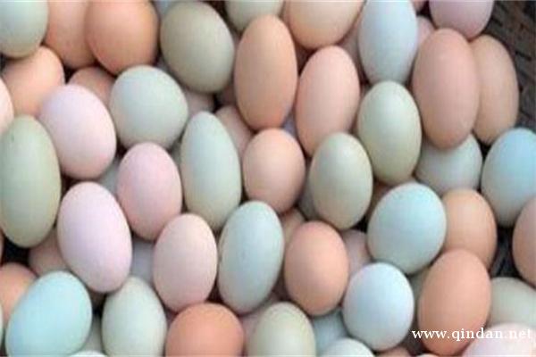 2025年11月份鸡蛋价格