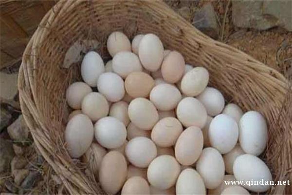 微言｜“激素鸡蛋”等食品安全类谣言，缘何屡禁不止？