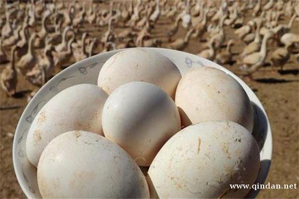 感冒能吃鸭蛋吗？