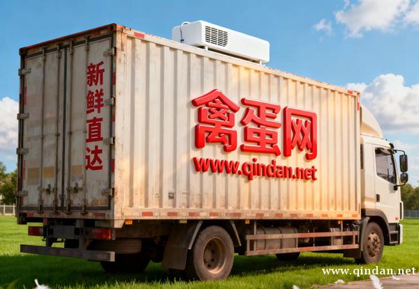 今日鸡蛋价格多少钱一斤？保存鸡蛋的小窍门