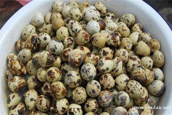 女人多吃鹌鹑蛋 美容又养颜