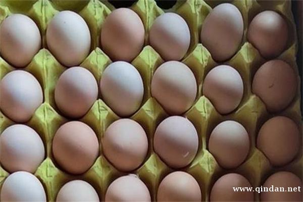 2025年12月6日鸡蛋价格行情分析及预测