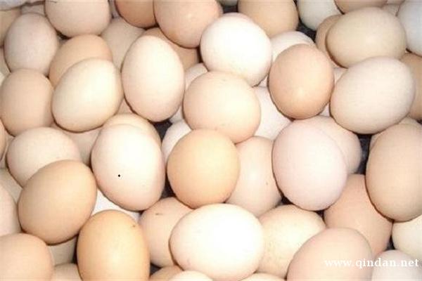 我国鸡蛋产地主要集中在哪些地方？