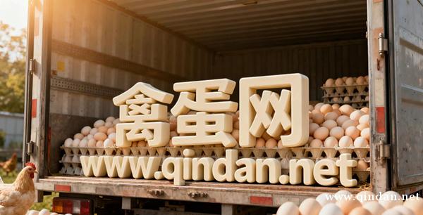 今日鸡蛋价格多少钱一斤？鸡蛋价格为何上涨？