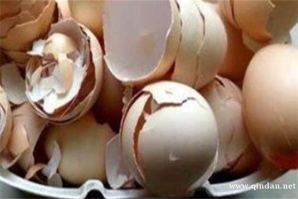 鸡蛋壳的功效与作用有哪些？