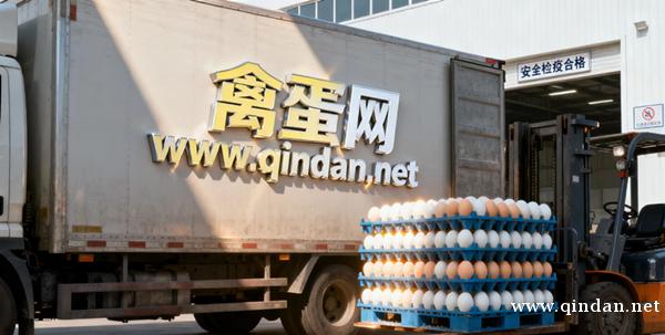 哪个品种的鸡蛋最有营养？越贵的鸡蛋越好吗？