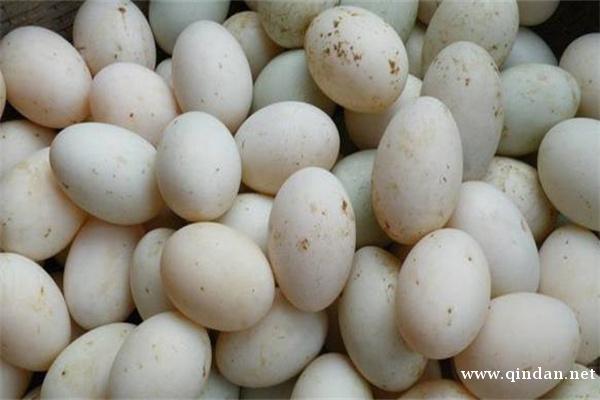 今日咸鸭蛋多少钱一盒？咸鸭蛋的主产地是哪些地方？