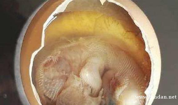 活珠子是什么？怎么吃？活珠子和毛鸡蛋的区别在哪？