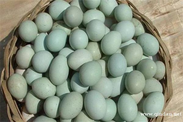 鸡蛋的种类有几种？哪种营养价值最高？