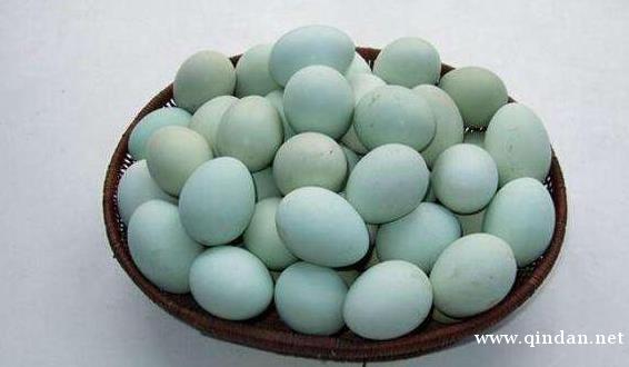 鸡蛋都有哪些常见品种？营养价值如何？