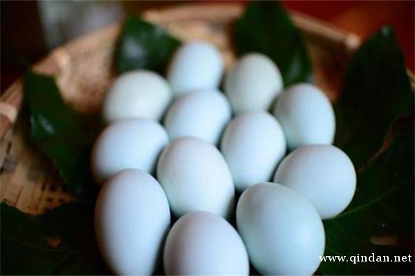 白皮鸡蛋和红皮鸡蛋有何区别？哪种鸡蛋营养价值更大？