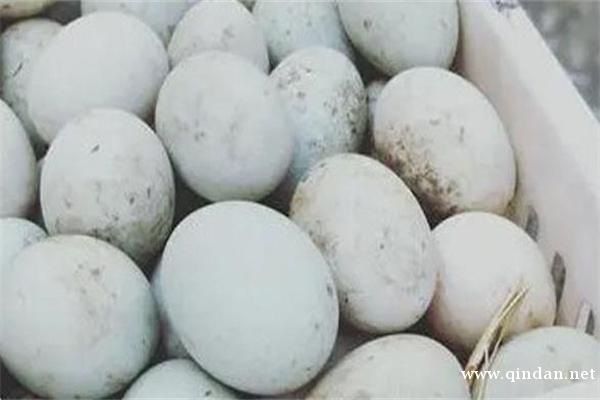 鹅蛋的药用价值分析