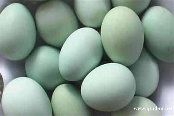 绿壳蛋是什么品种鸭子下的？
