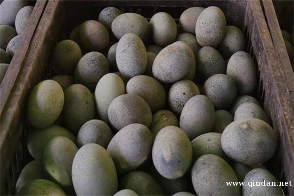 松花蛋产地哪里的有名？为什么用鸭蛋制作？