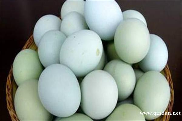 鸭蛋多少钱一斤？有哪些营养价值？如何识别假鸭蛋？
