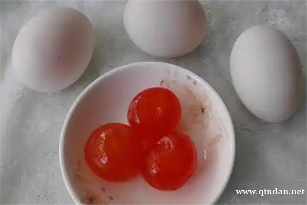 海鸭蛋(海边红树林中鸭群蛋卵)