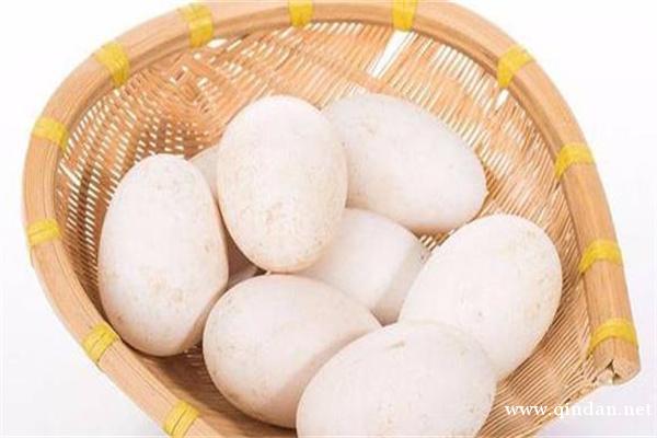为什么鹅蛋价格高却供不应求？鹅蛋的药用方法