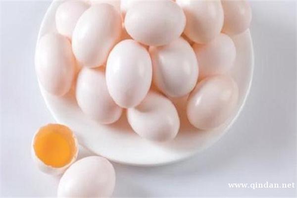 如何判断鸽子蛋已经不能孵化？鸽子蛋多久孵化出来?