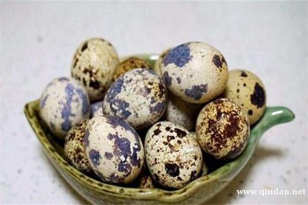 鹌鹑蛋有哪些食用功效？2025年鹌鹑蛋价格行情分析