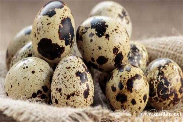 12月3日今日鹌鹑蛋价格行情：基本稳定