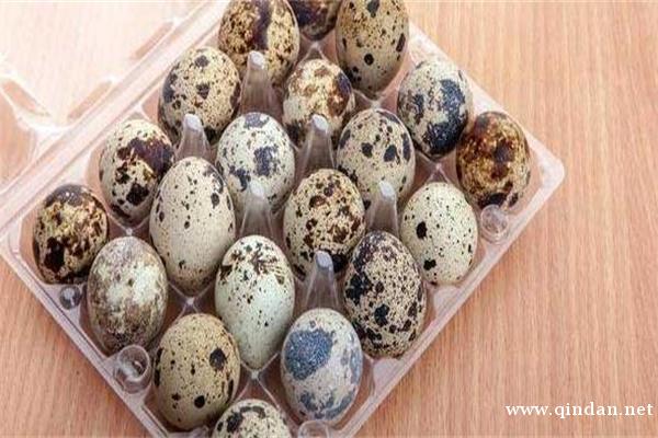 学生和儿童宜吃鹌鹑蛋补脑