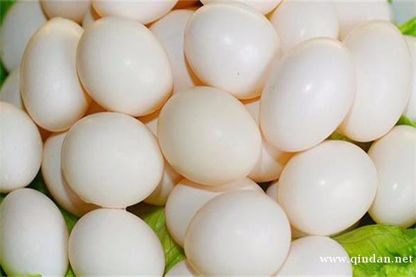 吃鸽子蛋的禁忌有哪些？一天可以吃几个？