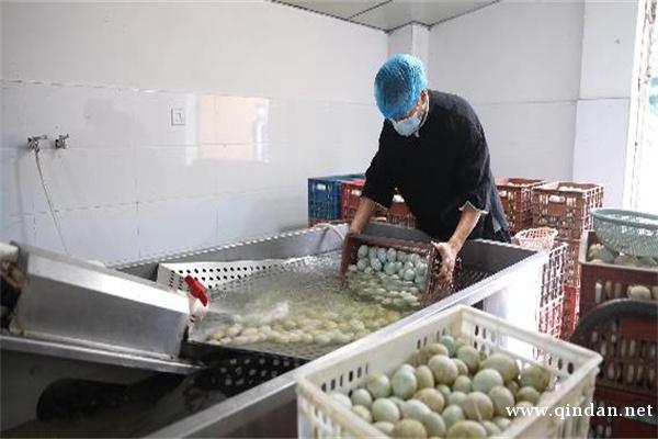 /attachment/editor/20251203/1764754006xhr6n.jpg /attachment/editor/20251203/1764754006xhr6n.jpg