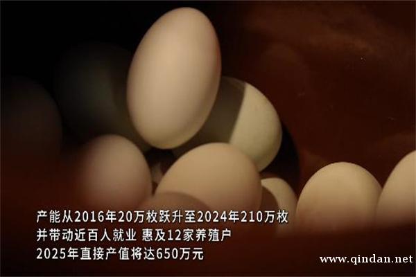 /attachment/editor/20251203/17647540143vldw.jpg /attachment/editor/20251203/17647540143vldw.jpg