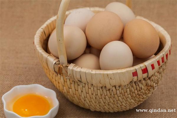 笨鸡蛋的定义、特点以及区分介绍