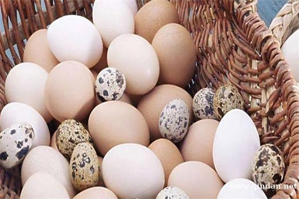 蛋类组成结构、成分营养及禁食人群