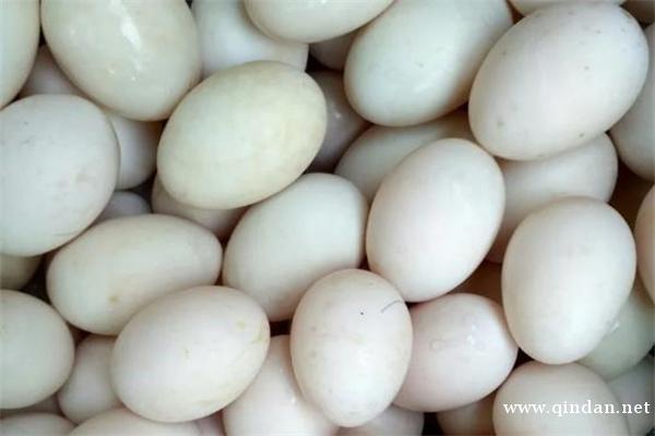 鸭蛋的组成结构、食疗价值及营养成分
