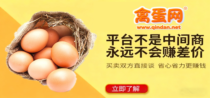 禽蛋批发交易市场