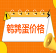 2025-12-06 全国鹌鹑蛋价格涨跌表